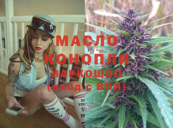 гашик Майский